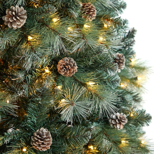 8ft. Pre-Lit Frosted British Columbia Mountain Pine Artificial Christmas Tree, Clear Lights